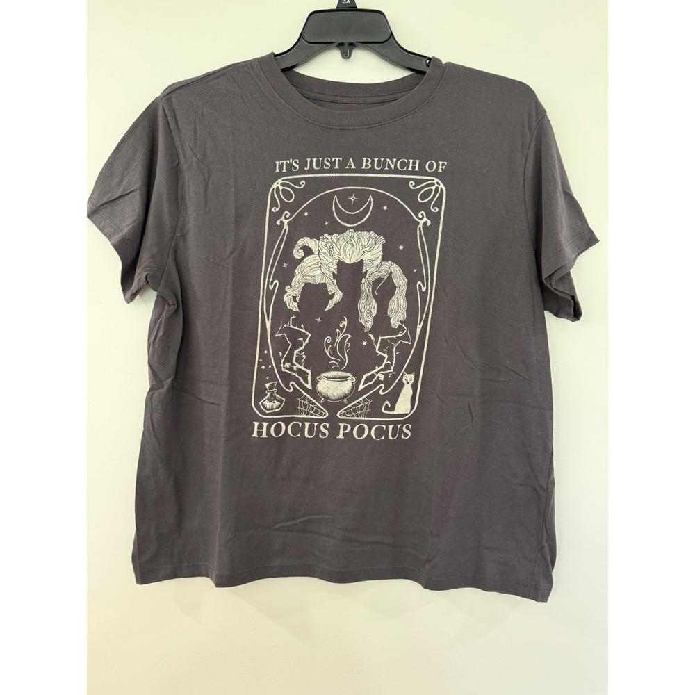 Disney Hocus Pocus Sanderson Sisters Womens Graphic Tee Charcoal Gray 2XL